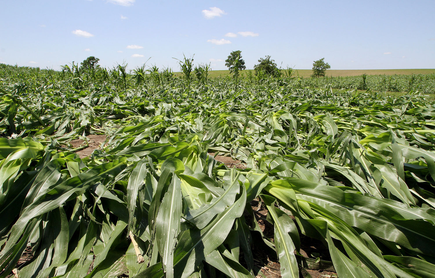 062315-storm-damage-010